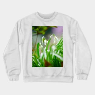 Snowdrops Crewneck Sweatshirt